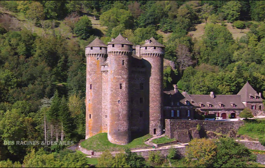 Chateau d'Anjony