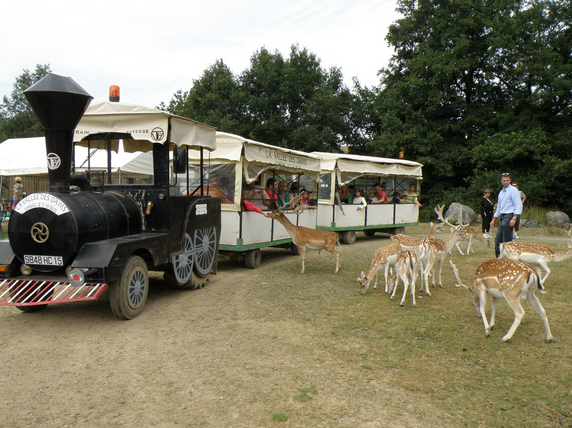 La vallée des daims