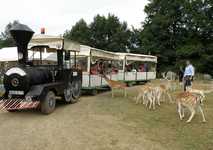 La vallée des daims